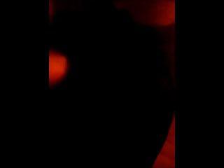 Photobucket tribute Sammlung von vielen kurzhaarigen